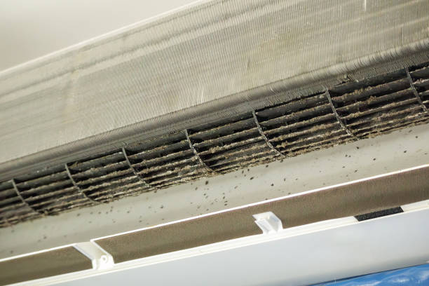 Best Best Air Duct Cleaning Company  in Timberwood Park, TX